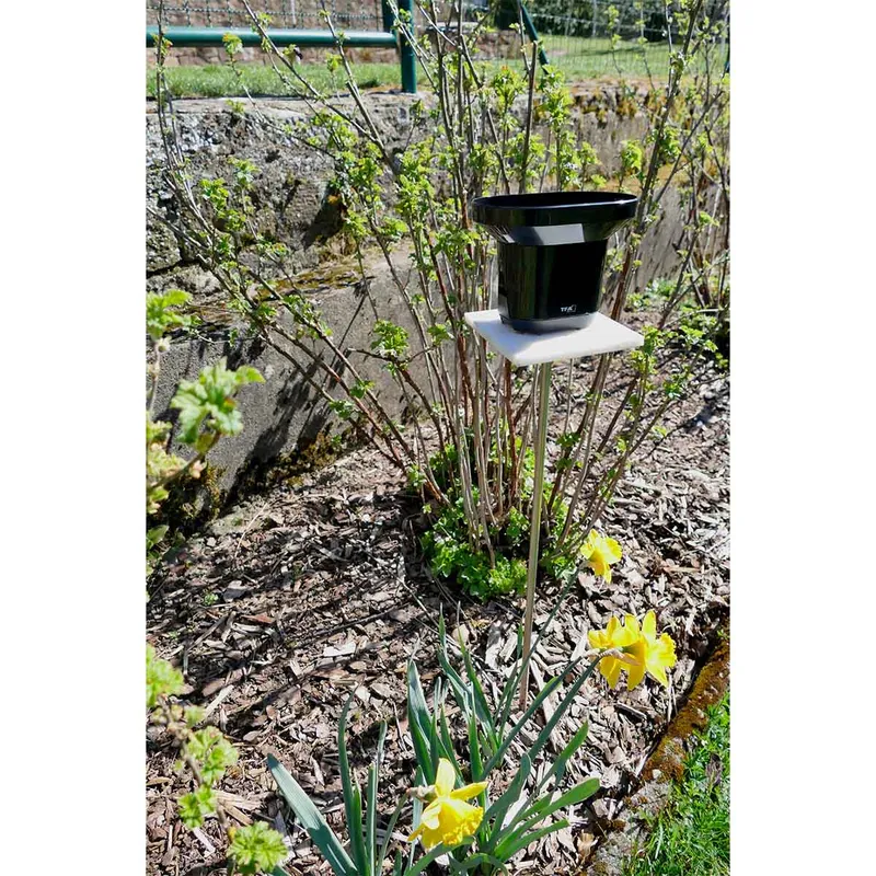 TFA Wireless Rain Gauge DROP Black - 1603210