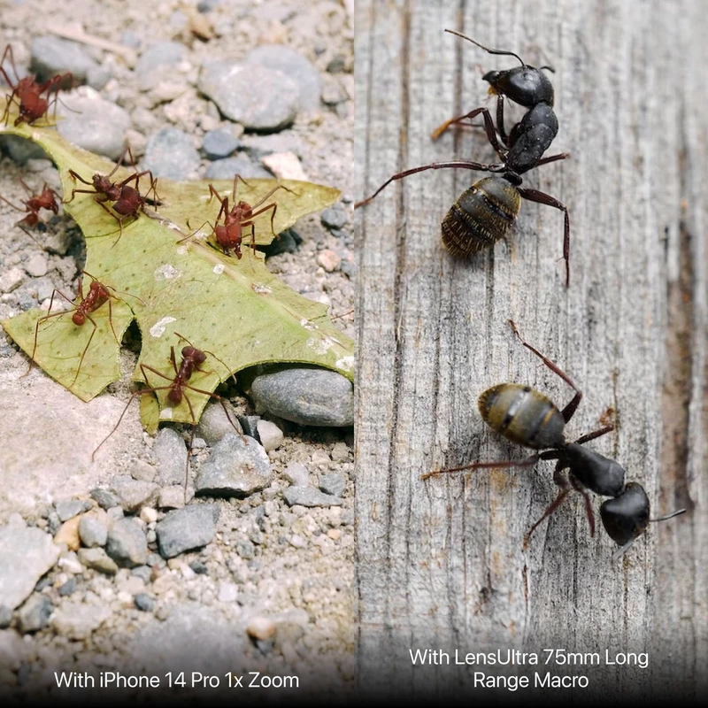 Shiftcam LensUltra 75mm Macro S-Mount compatible Black - 2966807