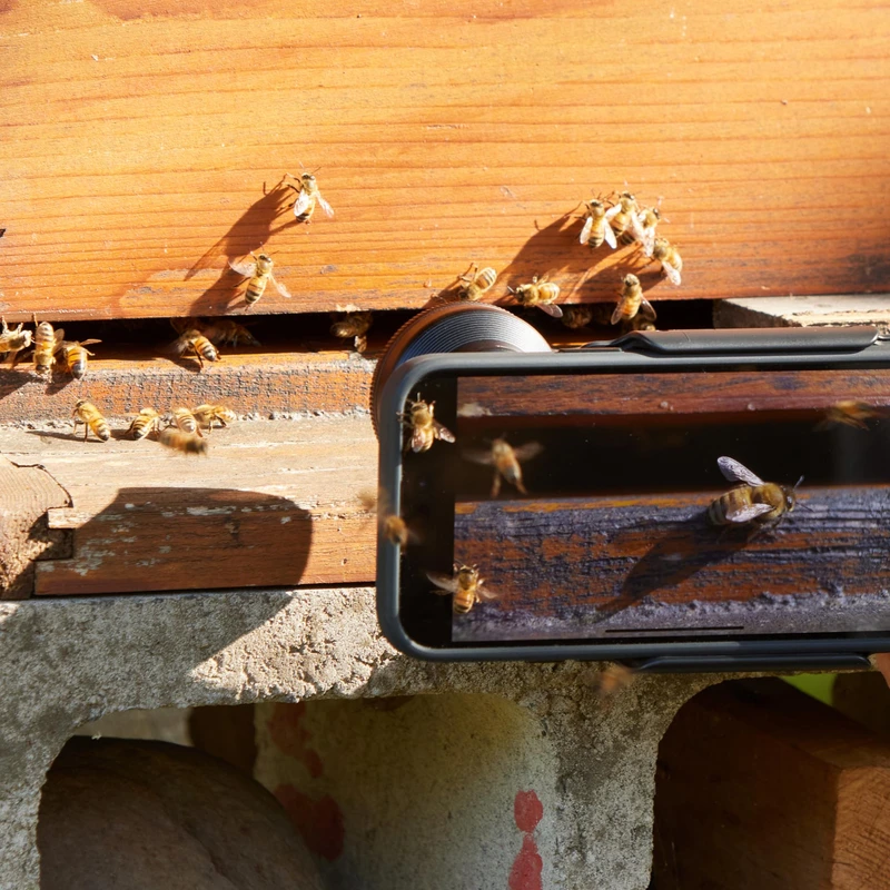 Shiftcam LensUltra 75mm Macro S-Mount compatible Black - 2966807