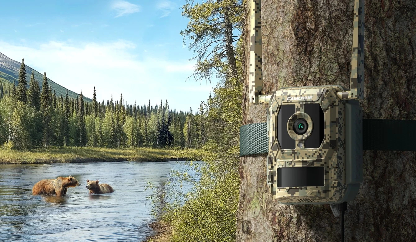 4K wildlife camera