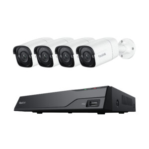 surveillance system